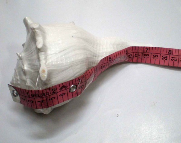 Lakshmi Bathing Conch Shell